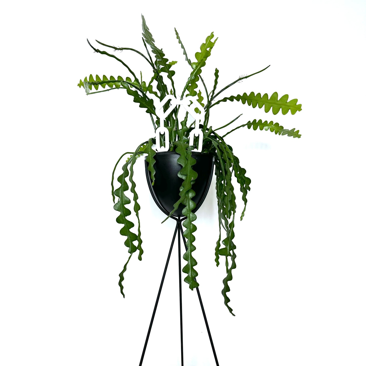 CHAIN PLANT STAKE