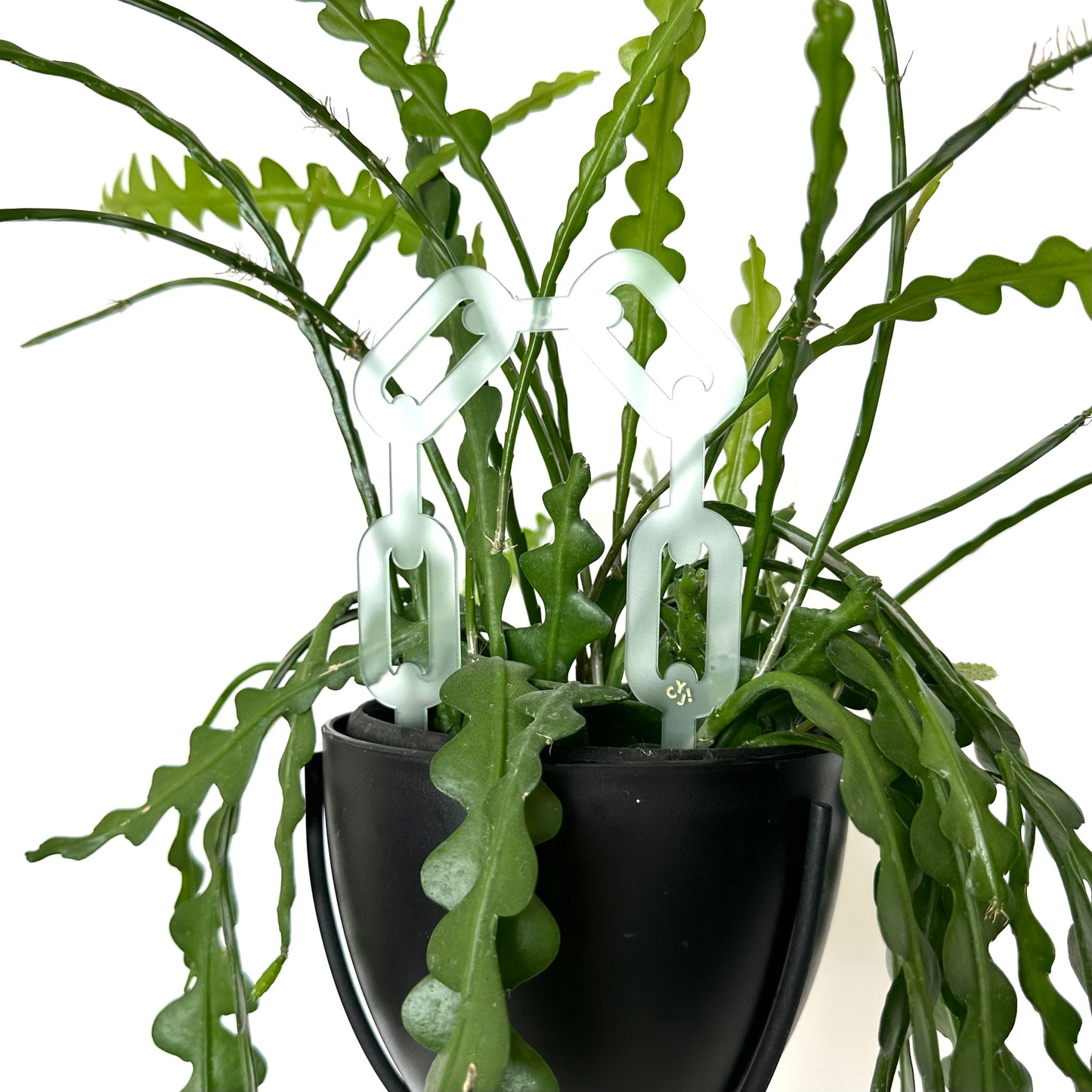 CHAIN PLANT STAKE