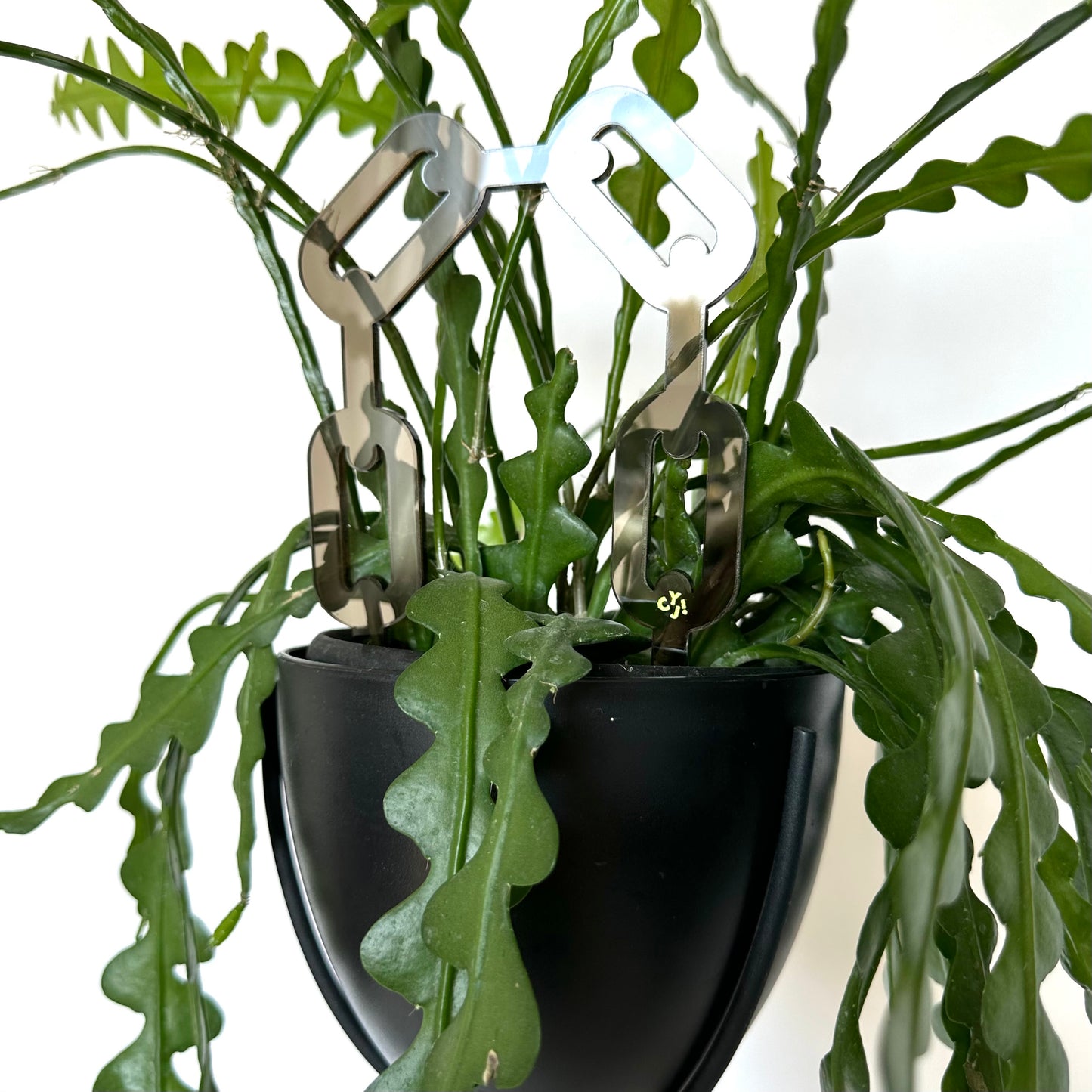 CHAIN PLANT STAKE