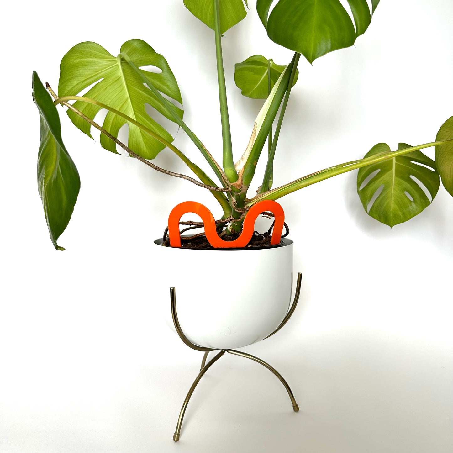 SQUIGGLE PLANT STAKE