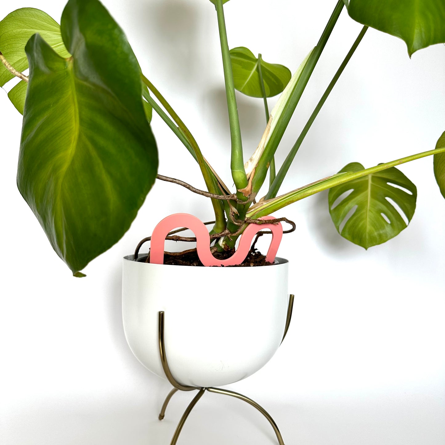SQUIGGLE PLANT STAKE