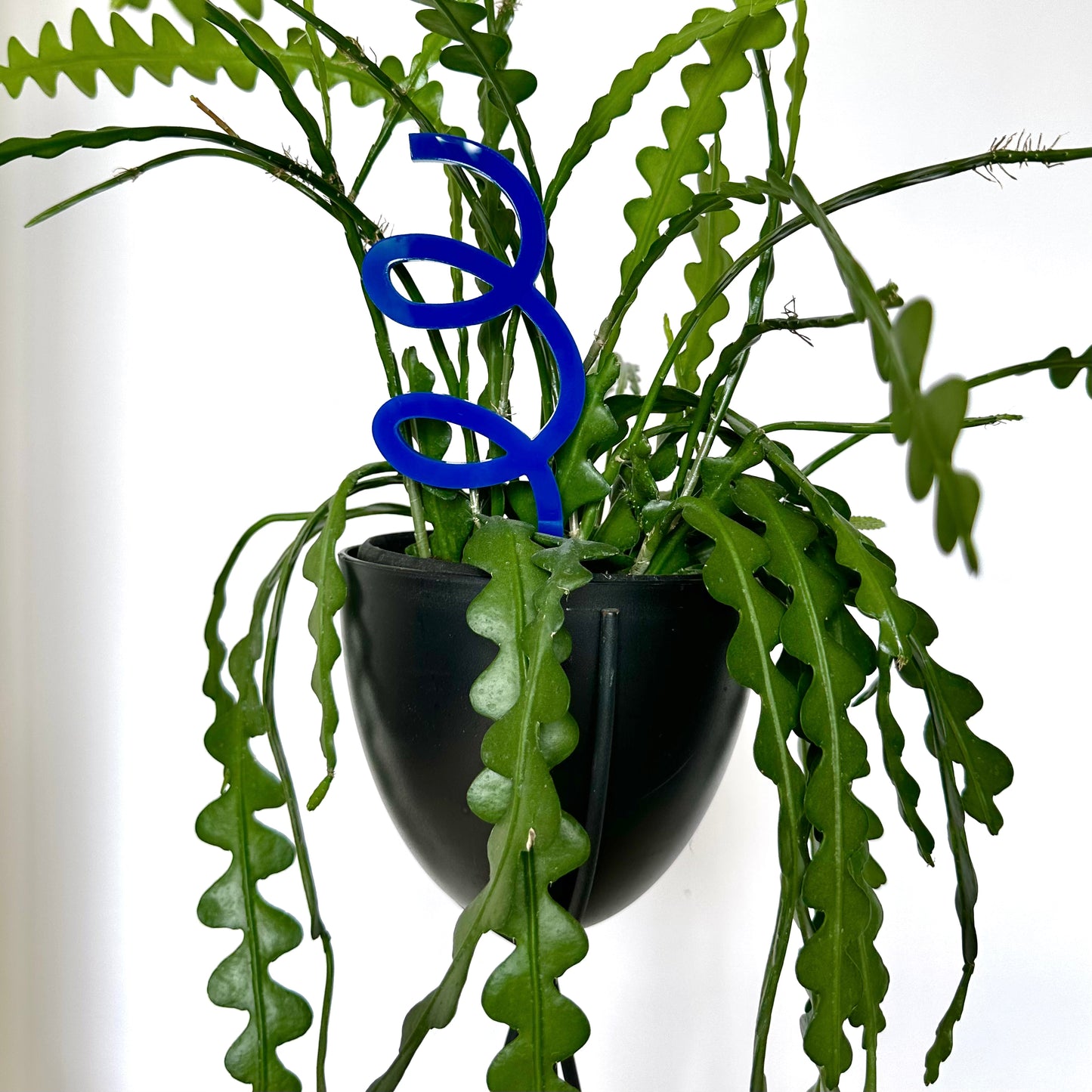 DOODLE PLANT STAKE