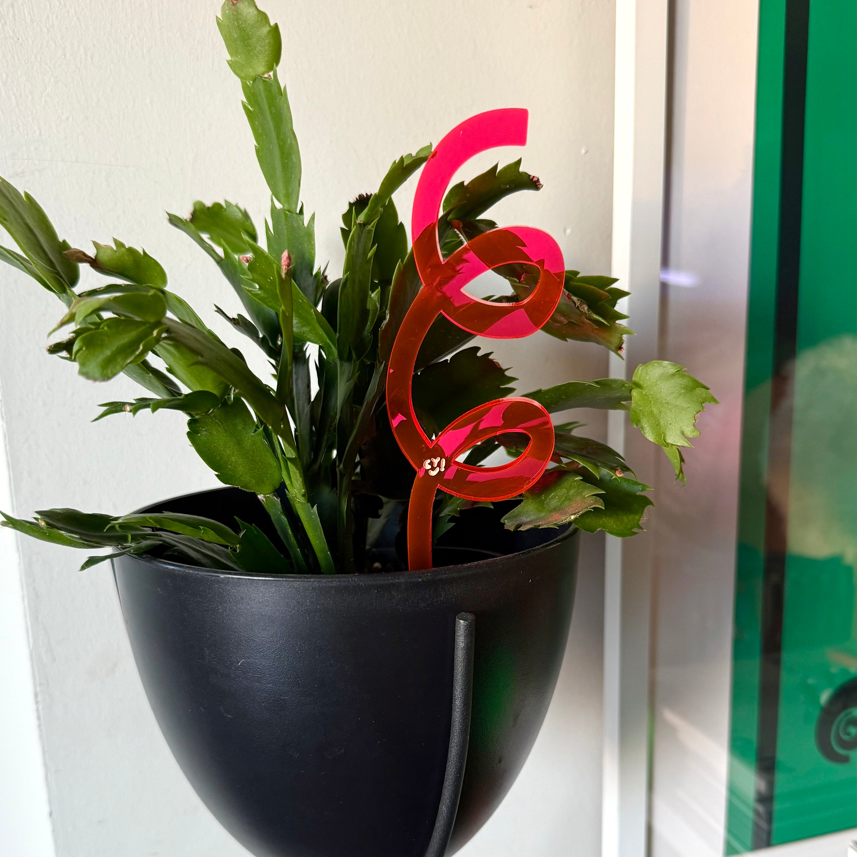 Plant Stake Duo
