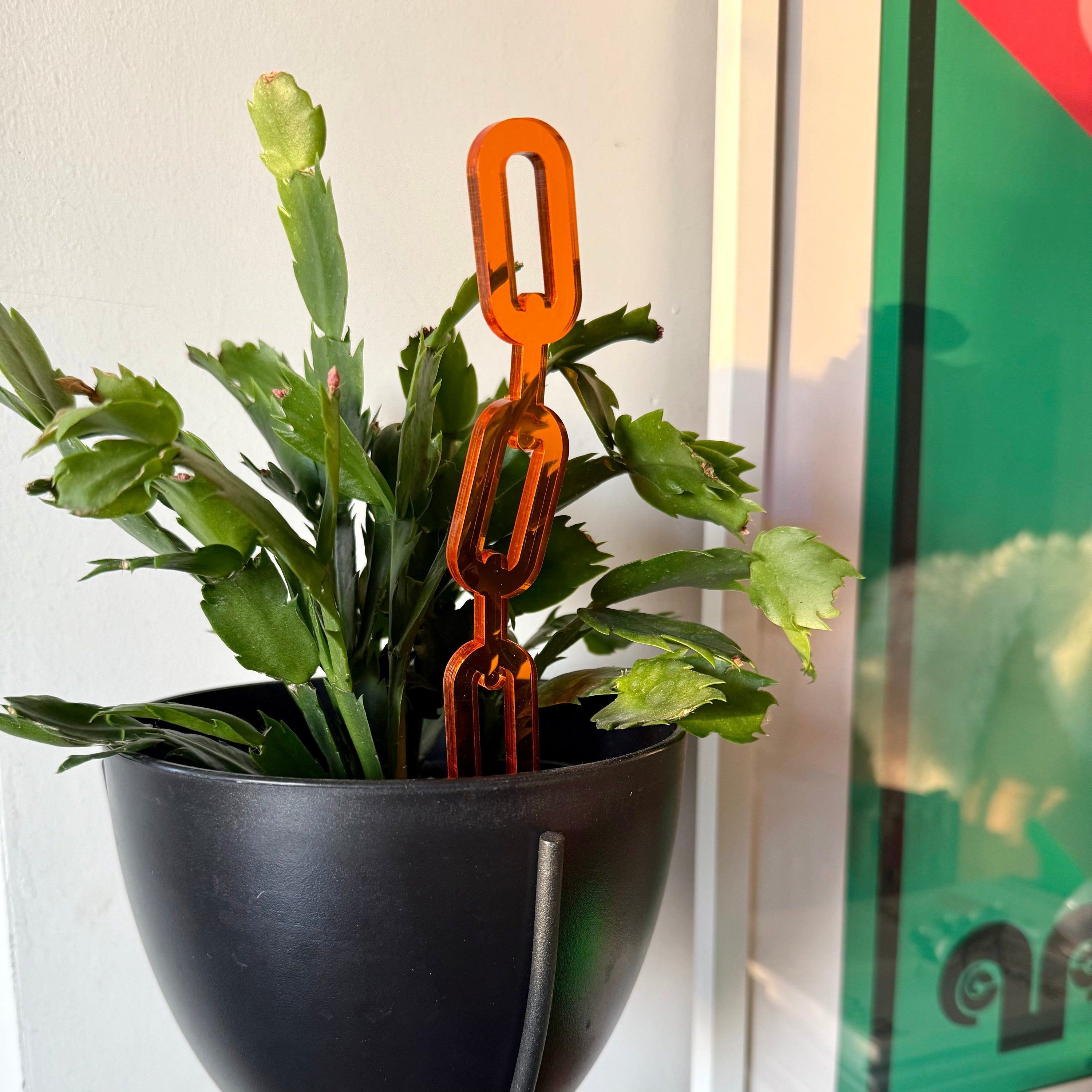 Plant Stake Duo