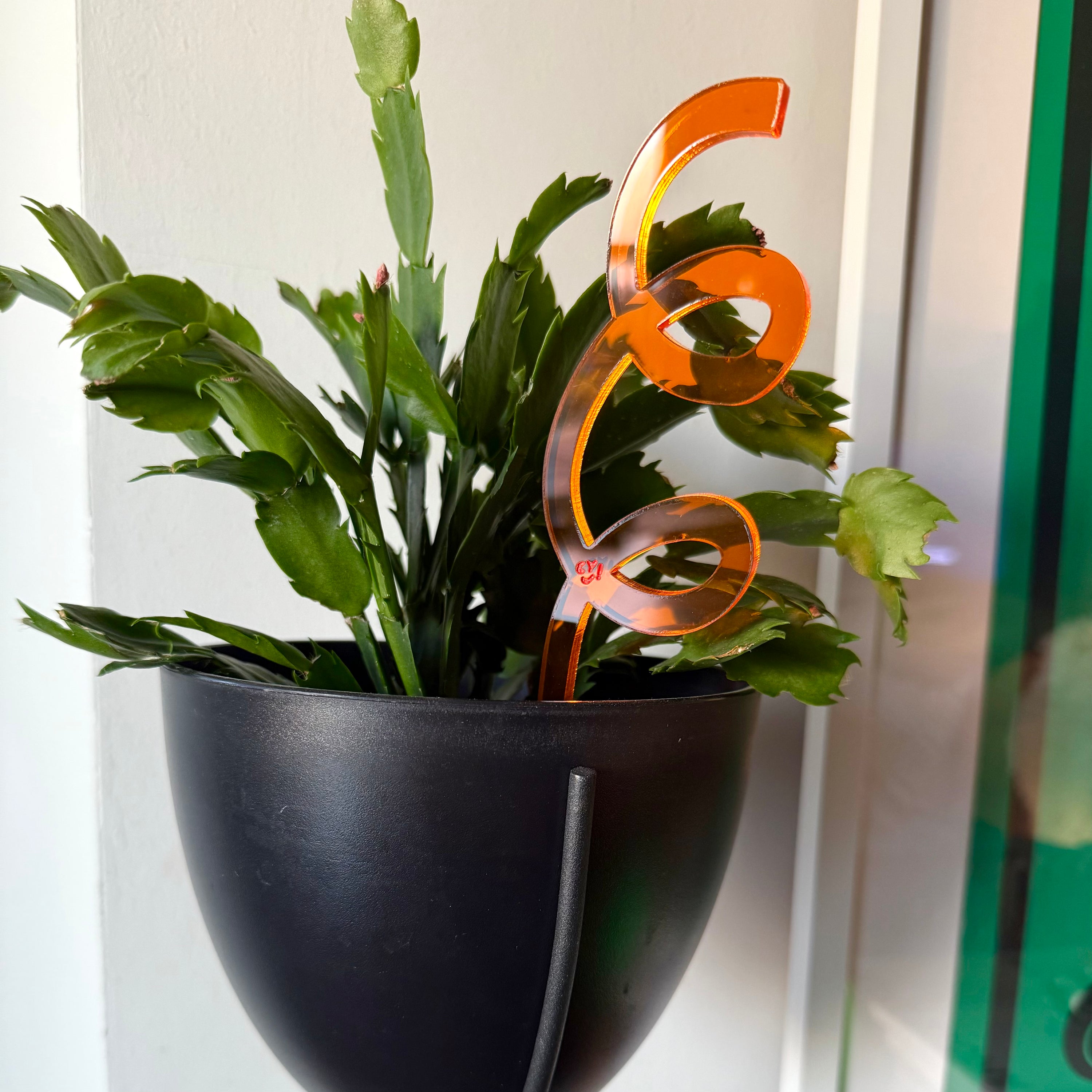 Plant Stake Duo
