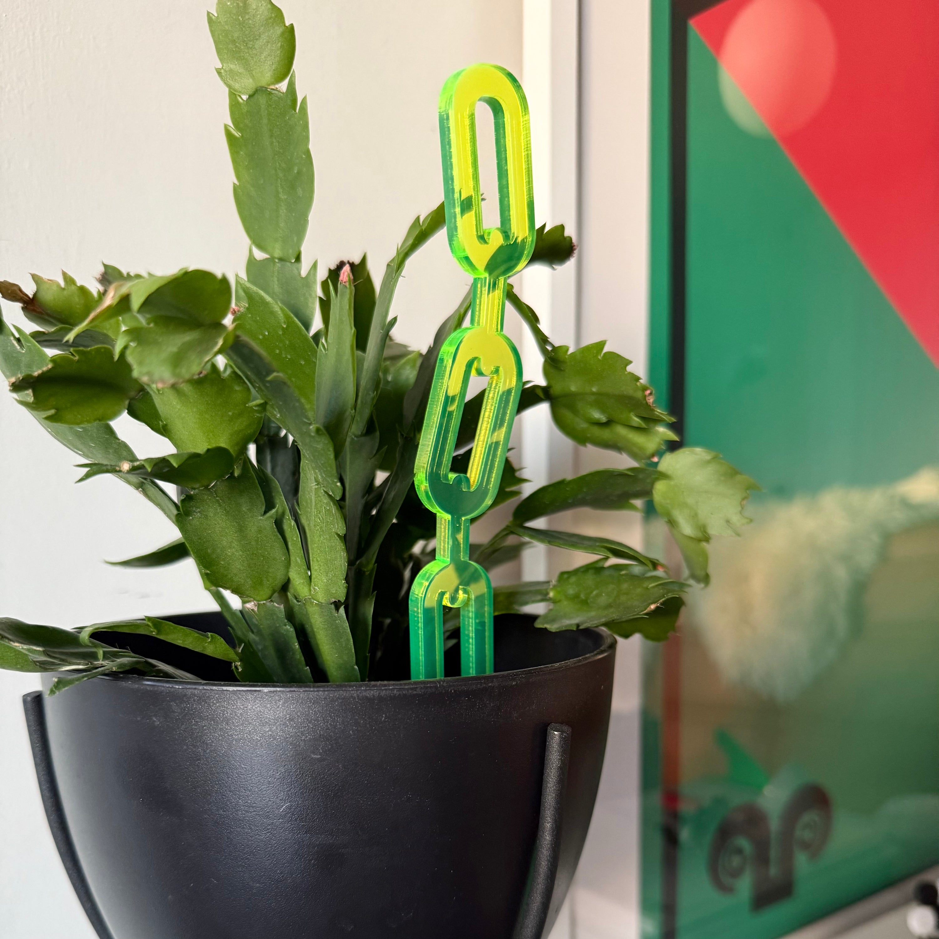 Plant Stake Duo