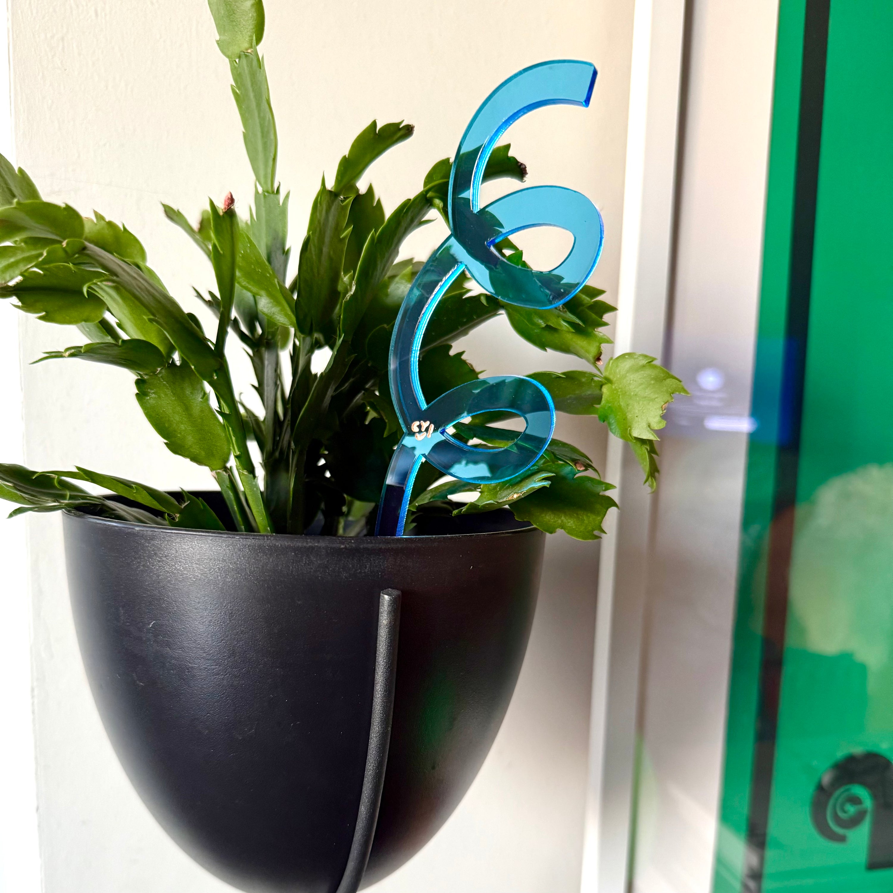 Plant Stake Duo